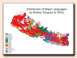 mother tongue / VDC